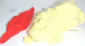 981823_10152839716530142_1834145051_o