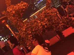 12167121_10103295750860721_997626581_n