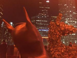 12168014_10103295750890661_414766492_n